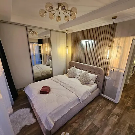 Delux 2 Family Penthouse * 蒂米什瓦拉
