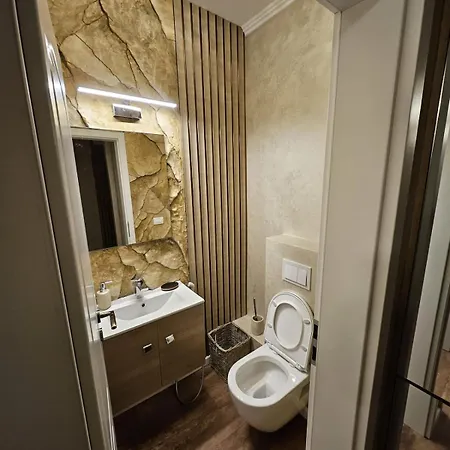 Delux 2 Family Penthouse 公寓 蒂米什瓦拉