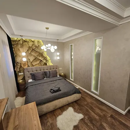 公寓 Delux 2 Family Penthouse 蒂米什瓦拉