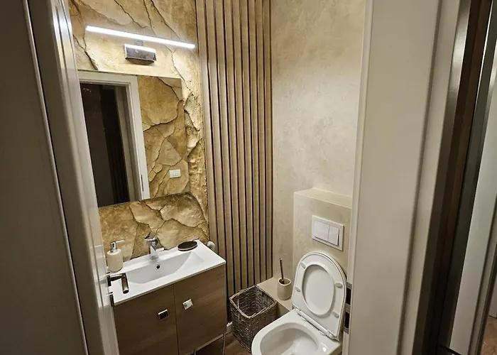 Delux 2 Family Penthouse Appartement Timişoara